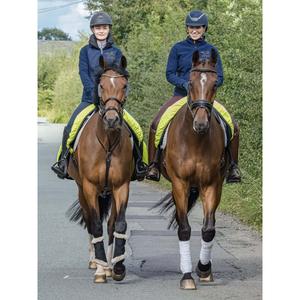 product/f/i/finer-equine_fe005_3.jpg