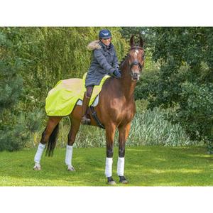 product/f/i/finer-equine_fe008_4.jpg