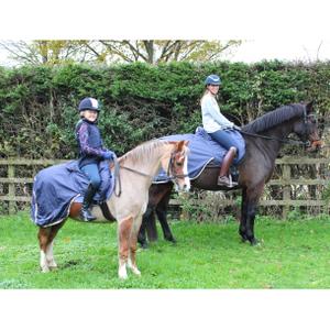product/f/i/finer-equine_fe022_4.jpg