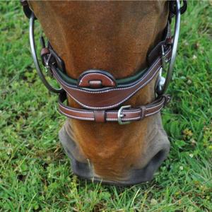 product/f/l/flags-cup_171194-marron-vert_mag4570585_4.jpg