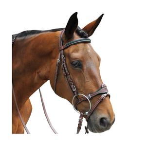 171194-noir-vert-bridons-equitation-combine-flags-cup-paris-noir-vert