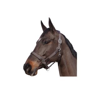 179501-marron-marron-licol-nylon-cuir-flags-cup-marron-marron