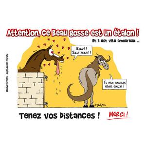 fr8plj009fr-plaque-humoristique-joli-coeur-fr8man-marron-tu