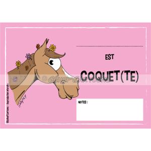fr8plpc014fr-plaque-humoristique-coquet-fr8man-rose-tu
