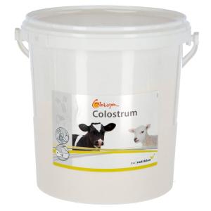 15994-complement-alimentaire-pour-veau-globigen-colostrum-white-2-5-kg