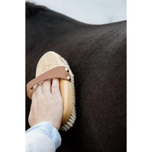 product/g/r/grooming-deluxe_82166-05_marron_1.jpg