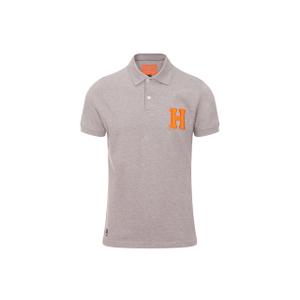 2001-48-polo-hagg-gris