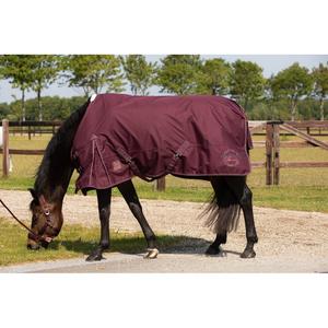 product/h/a/harry-s-horse_26100596-wit_wit_3.jpg
