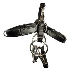 product/h/a/harry-s-horse_28008125_2_2.jpg