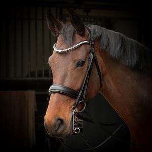 product/h/a/harry-s-horse_28008127-zwart_zwart_3.jpg