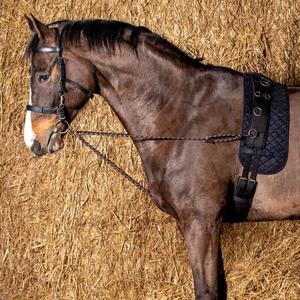 product/h/a/harry-s-horse_28400074-05_2_2.jpg