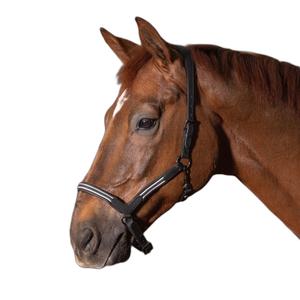 28500007-zwart-licol-pour-cheval-en-cuir-harry-s-horse-flash-zwart