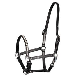 product/h/a/harry-s-horse_28500301_1_2.jpg