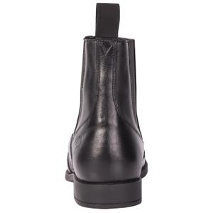 product/h/a/harry-s-horse_30100241-05_1.jpg