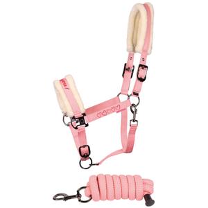 31000052-roze-ensemble-licol-et-longe-pour-cheval-harry-s-horse-love-roze