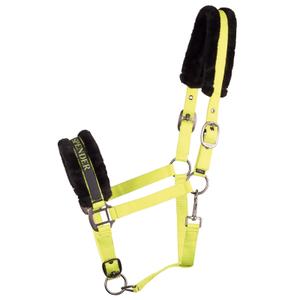 31000055-lime-licol-pour-cheval-harry-s-horse-lyrics-quotes-lime