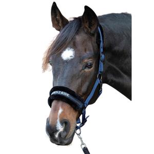 31000055-navy-licol-pour-cheval-harry-s-horse-lyrics-quotes-navy