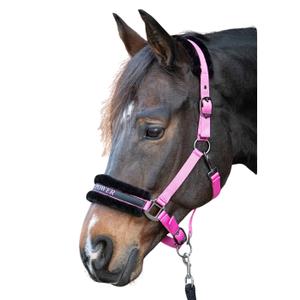 31000055-roze-licol-pour-cheval-harry-s-horse-lyrics-quotes-roze