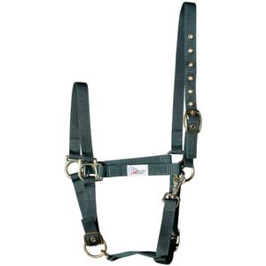 31000410-olijf-licol-pour-cheval-3x-reglable-harry-s-horse-olijf