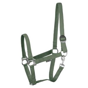 31000924-groen-licol-pour-cheval-harry-s-horse-economy-stlt-groen
