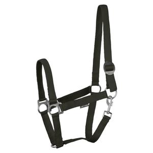 31000924-legergroen-licol-pour-cheval-harry-s-horse-economy-stlt-legergroen