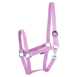 31000924-lila-licol-pour-cheval-harry-s-horse-economy-stlt-lila