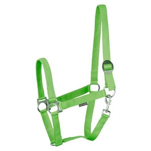 31000924-lime-licol-pour-cheval-harry-s-horse-economy-stlt-lime
