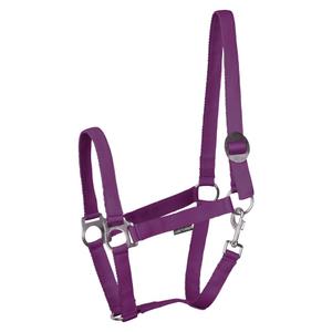 31000924-paars-licol-pour-cheval-harry-s-horse-economy-stlt-paars