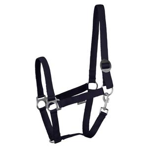 31000924-turquoise-licol-pour-cheval-harry-s-horse-economy-stlt-turquoise