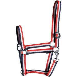 31000925-rood-wit-blauw-licol-pour-cheval-harry-s-horse-economy-rood-wit-blauw