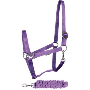 31000926-violet-ensemble-licol-et-longe-pour-cheval-harry-s-horse-initial-violet