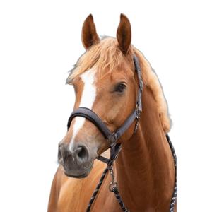 product/h/a/harry-s-horse_31002481-thunderstorm_thunderstorm_1.jpg