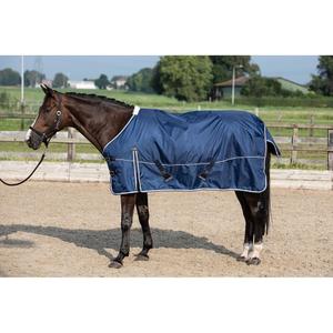 product/h/a/harry-s-horse_32201681-07.jpg