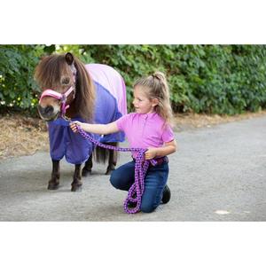 product/h/a/harry-s-horse_32202830-cyclamen_cyclamen_1.jpg