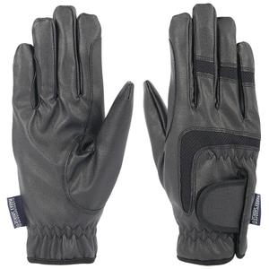 product/h/a/harry-s-horse_38600065-05_0.jpg