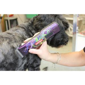 product/h/e/heiniger_154405_violet_3.jpg