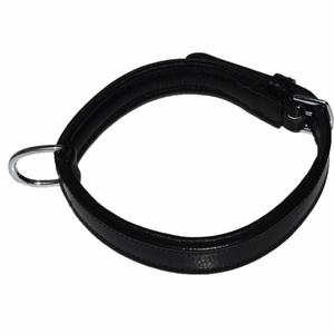 co-bo-no-collier-pour-chien-hekktor-bor-noir