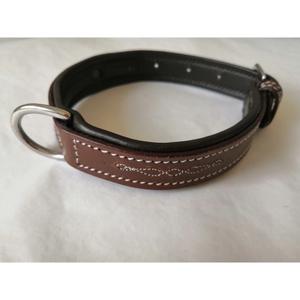 co-od-ma-collier-pour-chien-hekktor-odin-malt