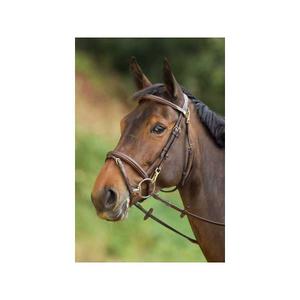 hfi003br-bridons-equitation-hfi-functional-brown