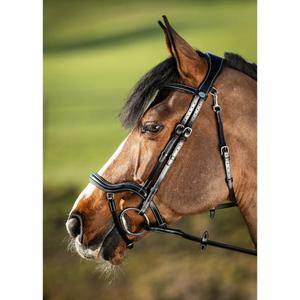 hfi016bk-bridons-equitation-hfi-techno-black