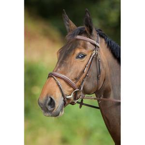 hfi1159br-bridons-equitation-hfi-comfort-brown