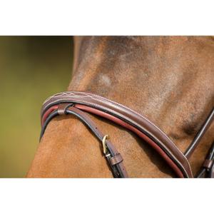 product/h/f/hfi1159br_4.jpg
