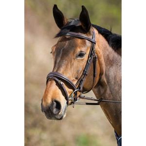 hfi708br-bridons-equitation-hfi-elegant-brown