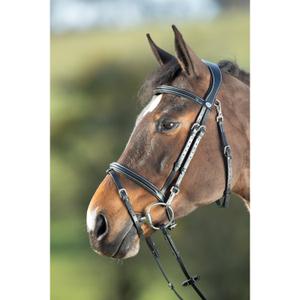 hfi003bk-bridons-equitation-hfi-functional-black