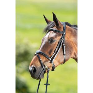 hfi013bk-bridons-equitation-hfi-technical-black