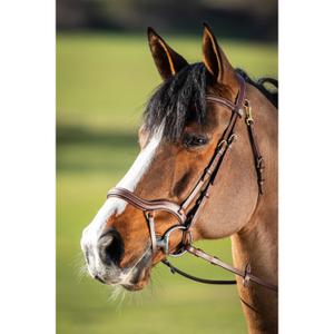 hfi016br-bridons-equitation-hfi-techno-brown