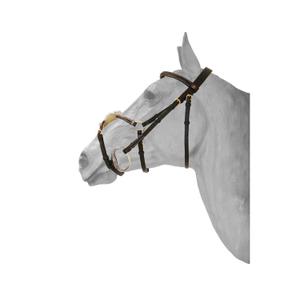 sam189brf-bridon-equitation-muserolle-croisee-surpique-anatomique-hfi-brun