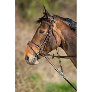 sam323br-gogue-pour-cheval-hfi-brown