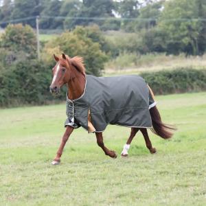9755-green-couverture-d-exterieur-pour-cheval-highlander-plus-50g-green
