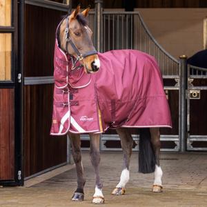 product/h/i/highlander-plus_9761-maroon_maroon_1.jpg